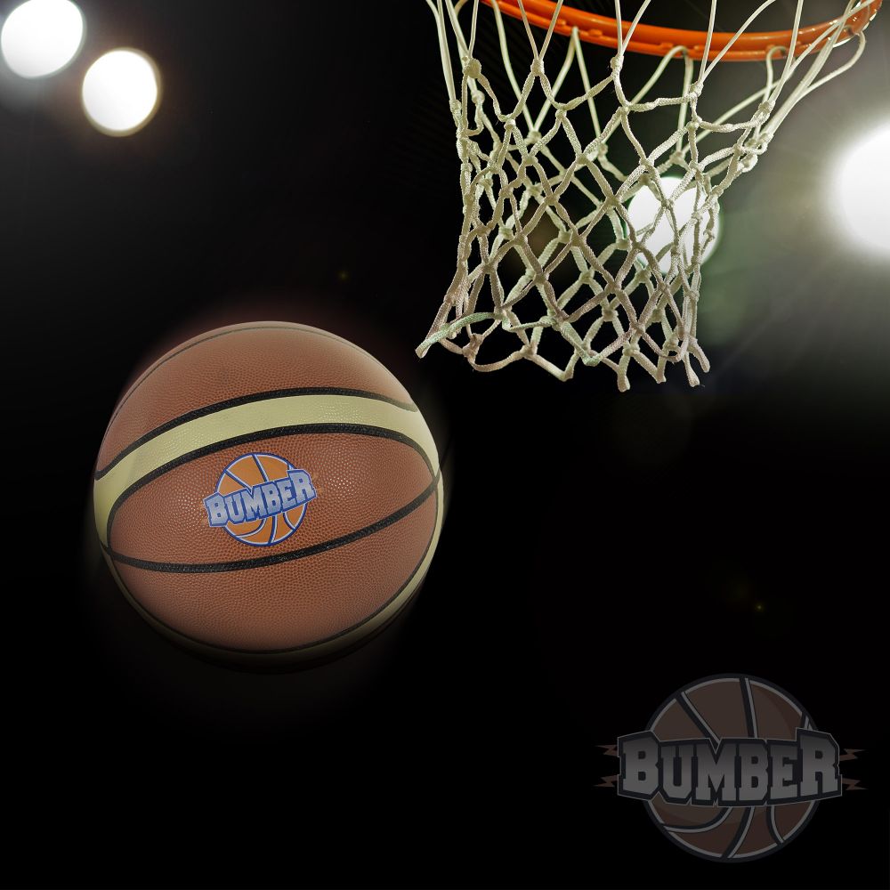 Ballon de basket BumberØ24,5 avec embout de pompe et filet de transport